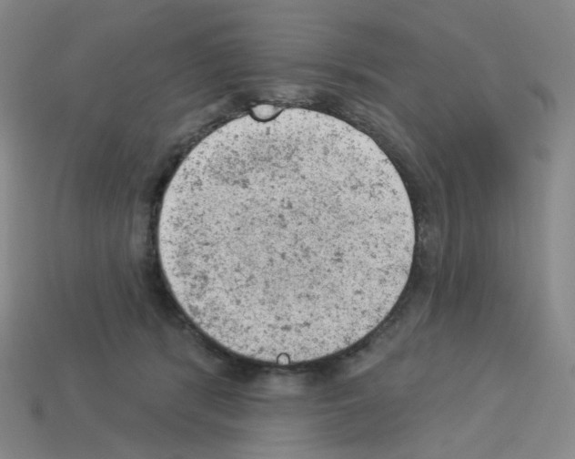 X0000112780416200910011301