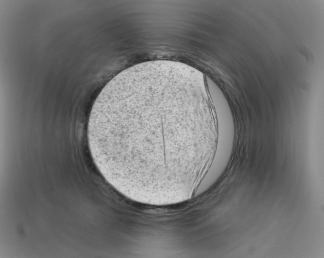 X0000112780417200910011301