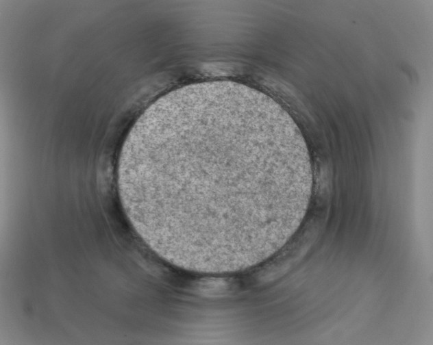 X0000112780418200910011301