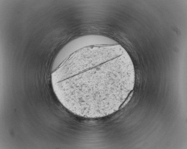 X0000112780419200910011301