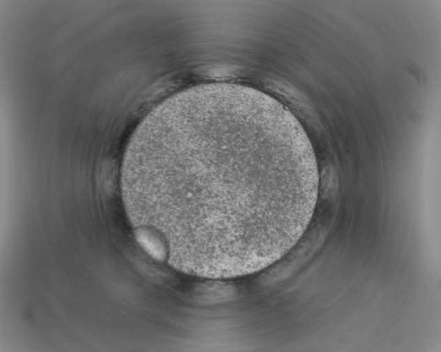 X0000112780421200910011301