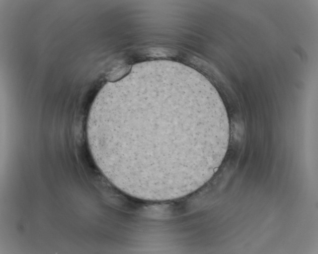 X0000112780422200910011301