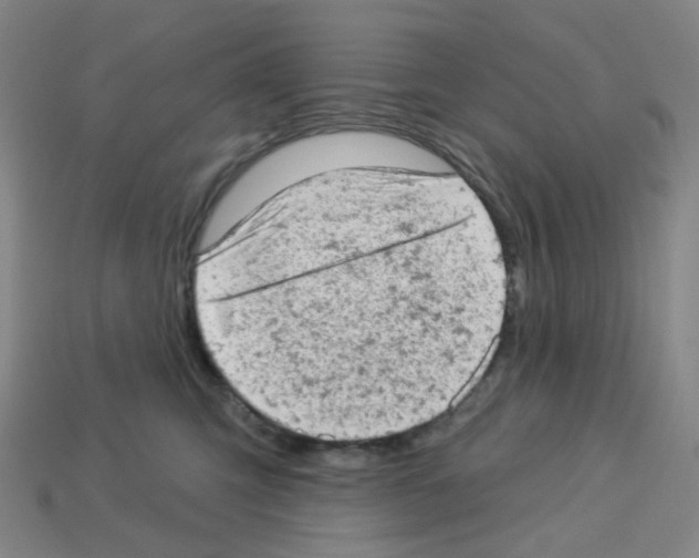 X0000112780423200910011301