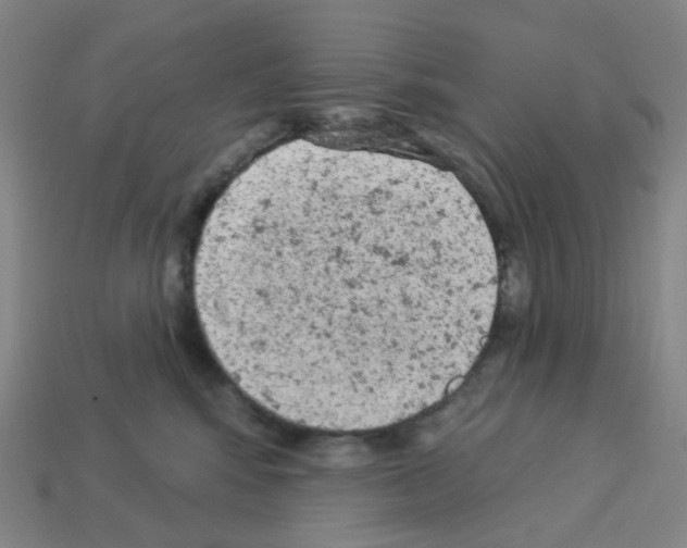 X0000112780424200910011301