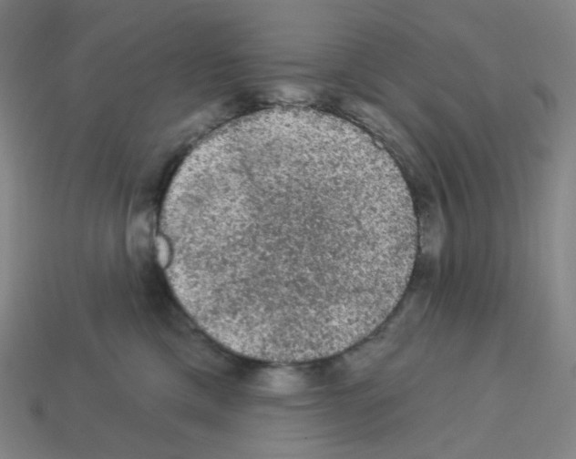 X0000112780425200910011301