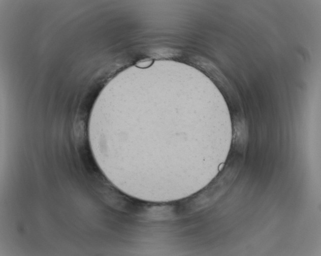 X0000112780426200910011301