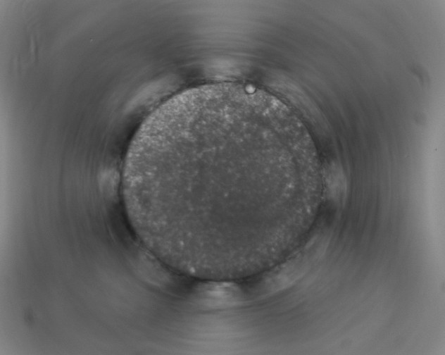 X0000112780427200910011301