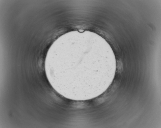 X0000112780428200910011301