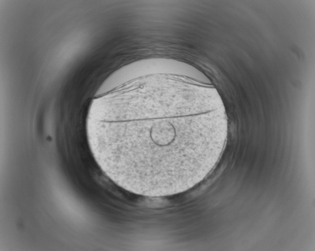 X0000112780429200910011301