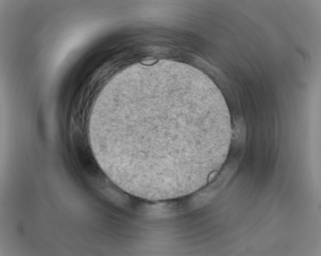 X0000112780430200910011301