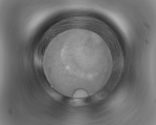 X0000112780431200910011301