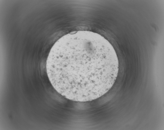 X0000112780432200910011301