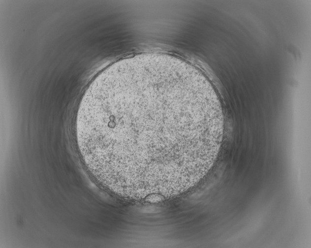 X0000112780433200910011300