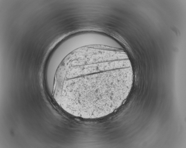 X0000112780436200910011300