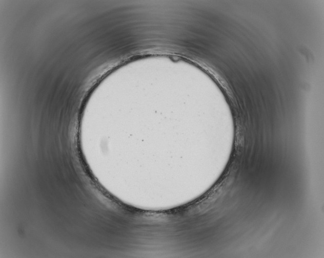 X0000112780437200910011300