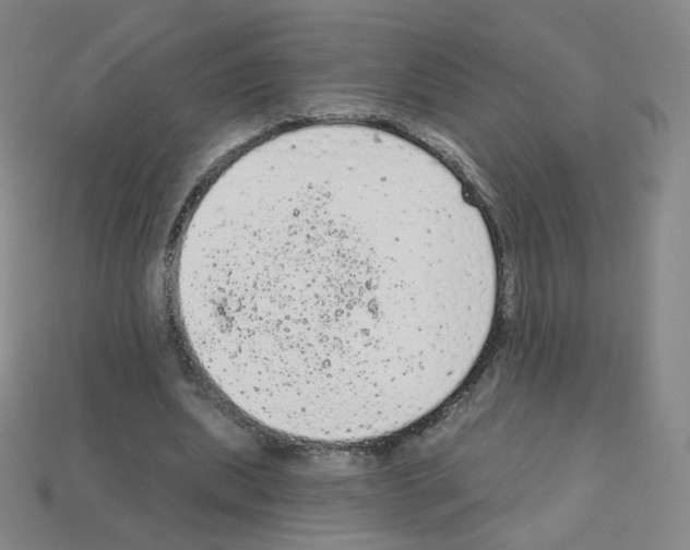 X0000112780439200910011300