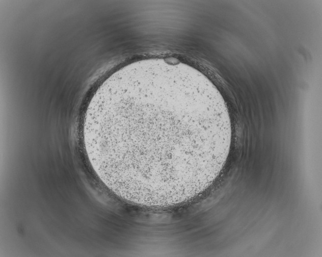 X0000112780443200910011301