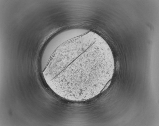 X0000112780444200910011301