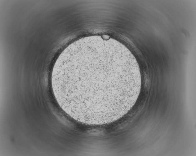 X0000112780447200910011301