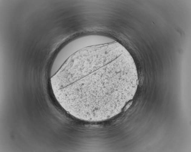 X0000112780448200910011301