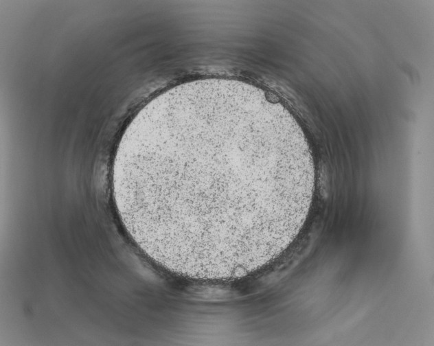 X0000112780449200910011301