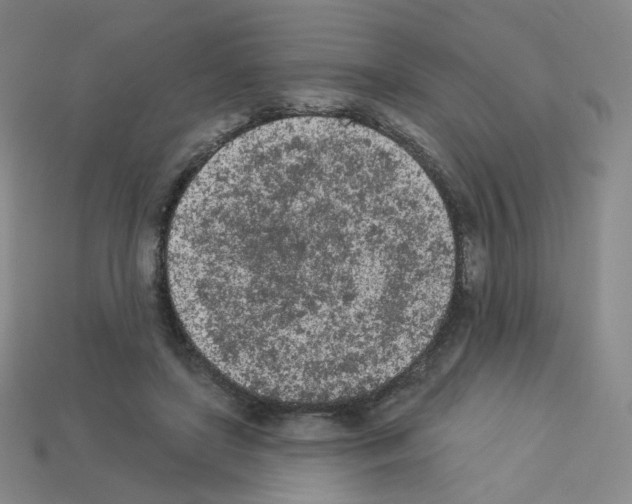 X0000112780451200910011301