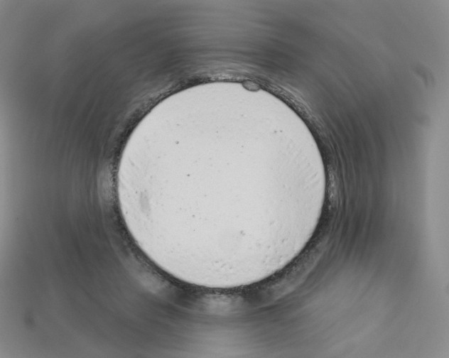 X0000112780453200910011301