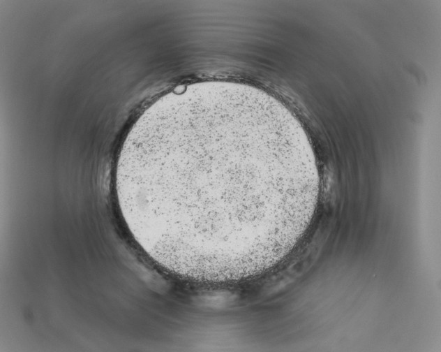 X0000112780454200910011301