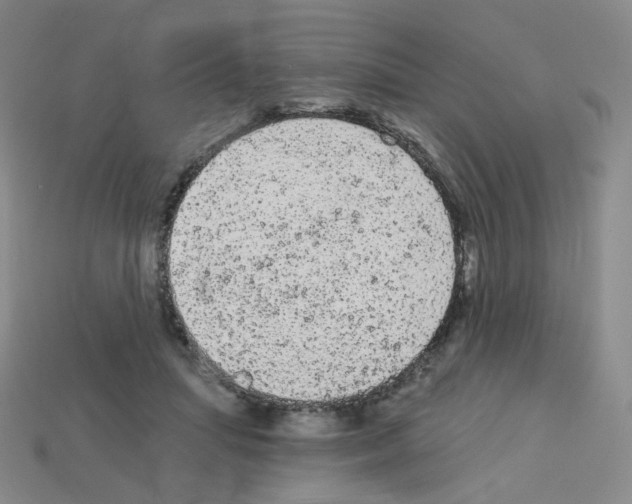 X0000112780455200910011301