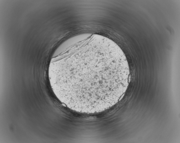 X0000112780456200910011301