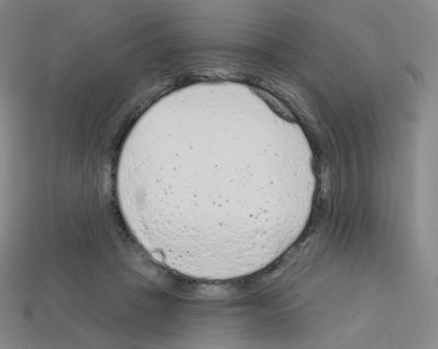 X0000112780457200910011301