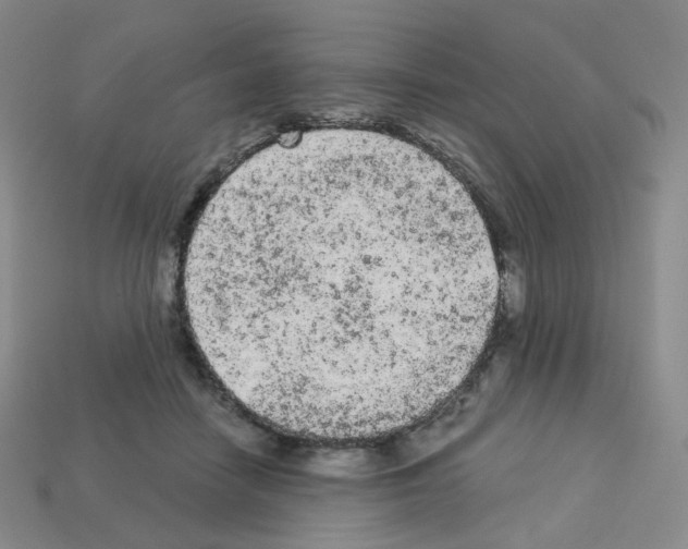 X0000112780458200910011301