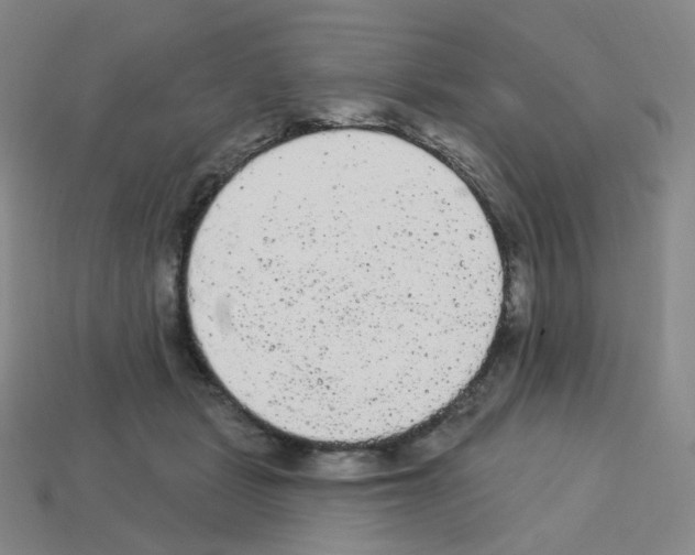 X0000112780461200910011301