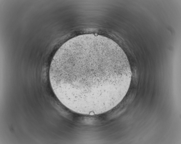 X0000112780462200910011301