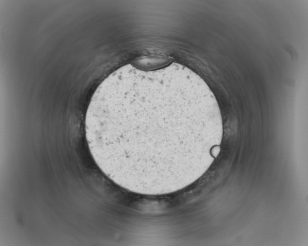 X0000112780464200910011301