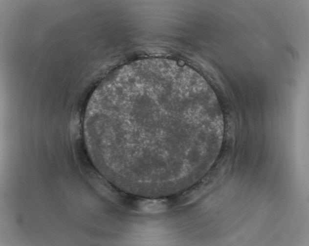 X0000112780465200910011301