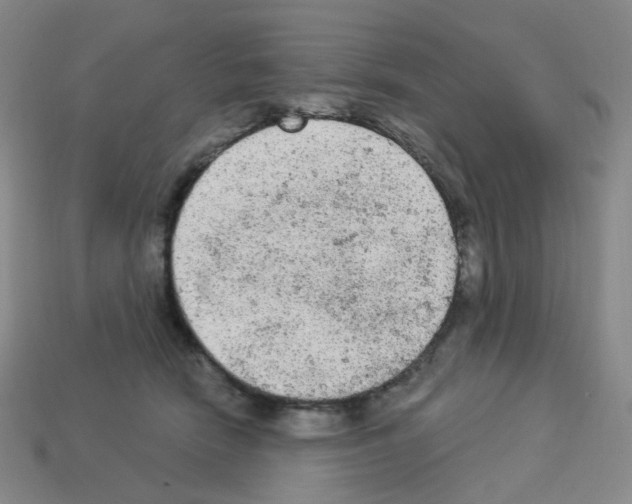 X0000112780466200910011301