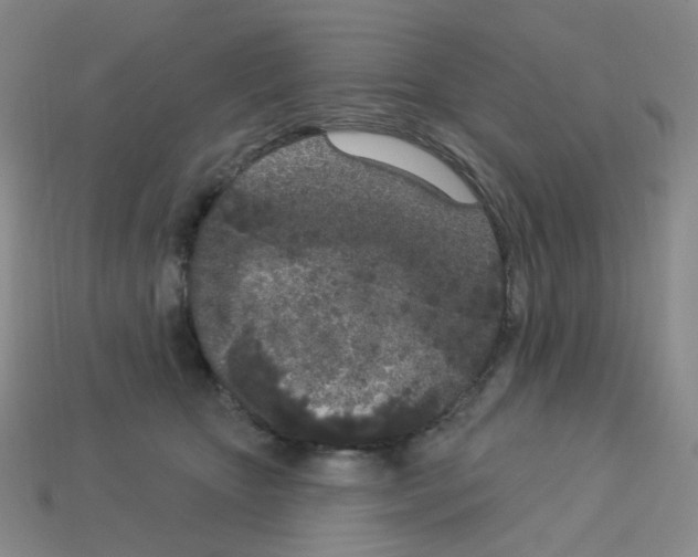 X0000112780467200910011301