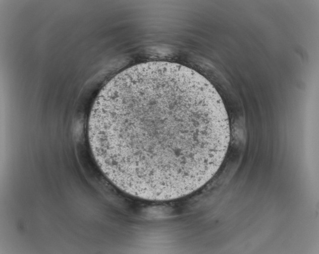 X0000112780468200910011301