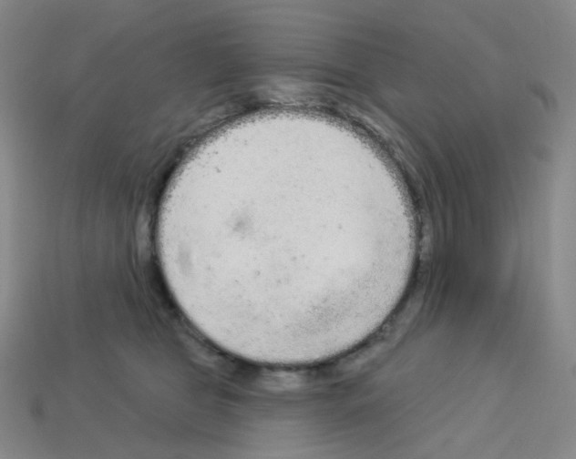 X0000112780469200910011301