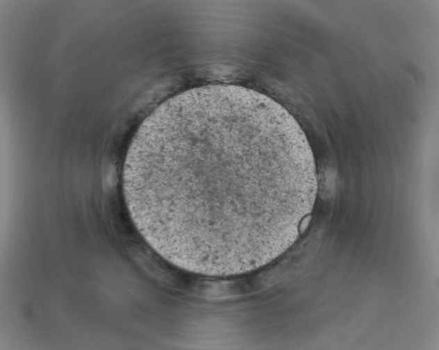 X0000112780472200910011301