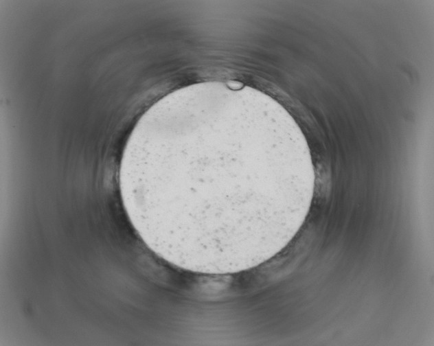 X0000112780474200910011301