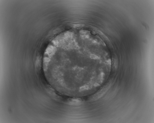 X0000112780475200910011301