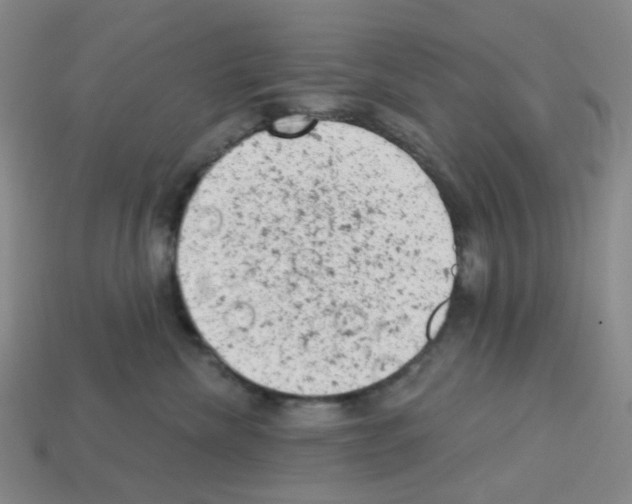 X0000112780476200910011301