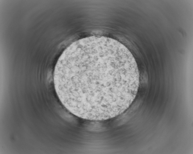 X0000112780478200910011301