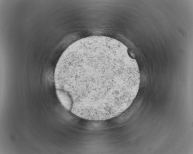 X0000112780479200910011301