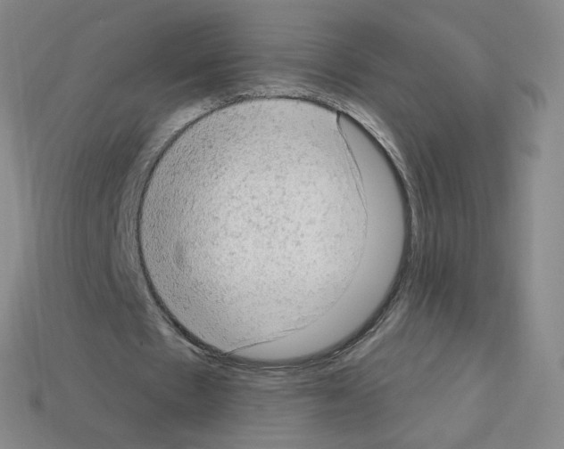 X0000112780481200910011300