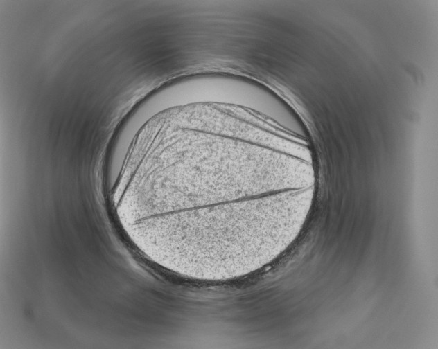 X0000112780485200910011300