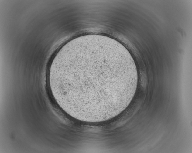 X0000112780486200910011300