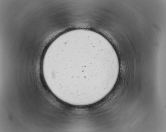 X0000112780487200910011300